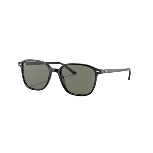 RAY BAN 2193-P