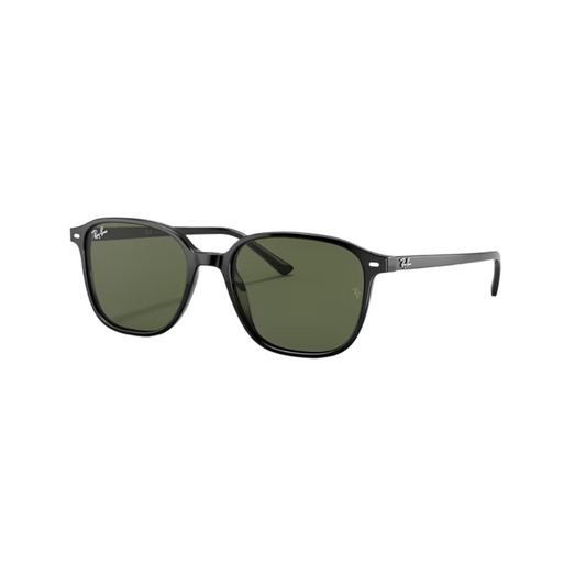 RAY BAN 2193